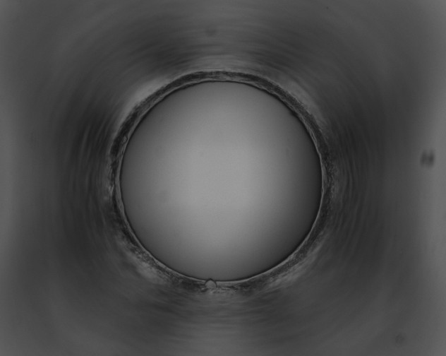 X0000091480974200708301911