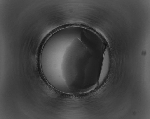 X0000091480975200708301911