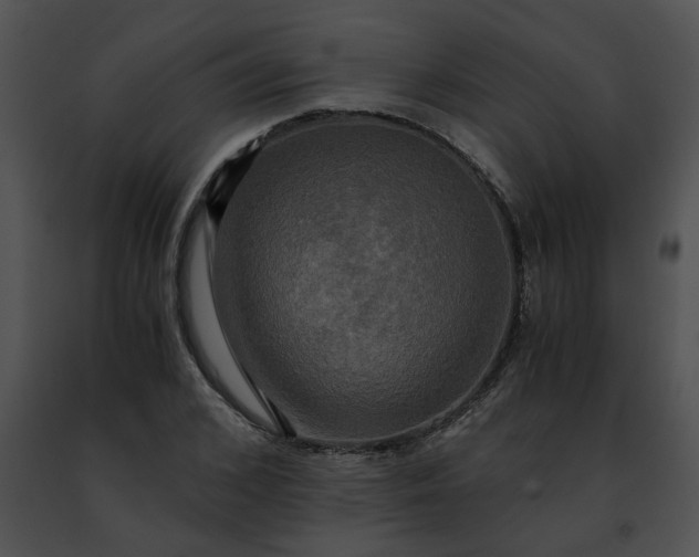 X0000091480976200708301911