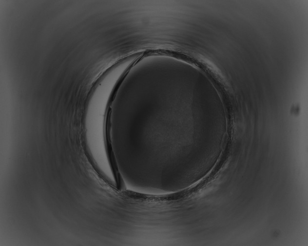 X0000091480977200708301911