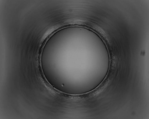 X0000091480978200708301911