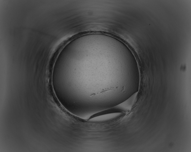 X0000091480979200708301911