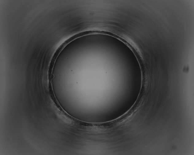 X0000091480980200708301911