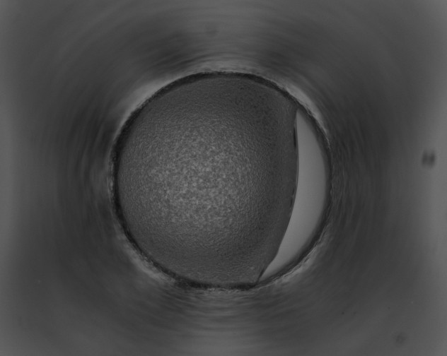 X0000091480981200708301911