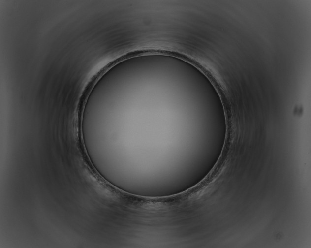 X0000091480982200708301911