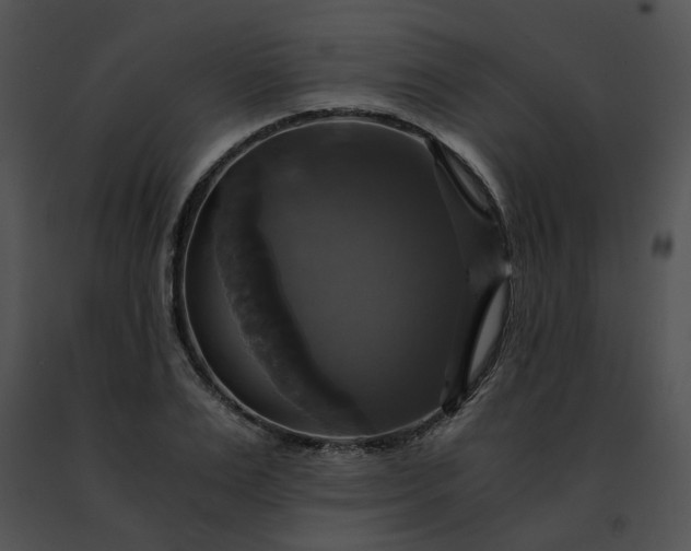 X0000091480983200708301911