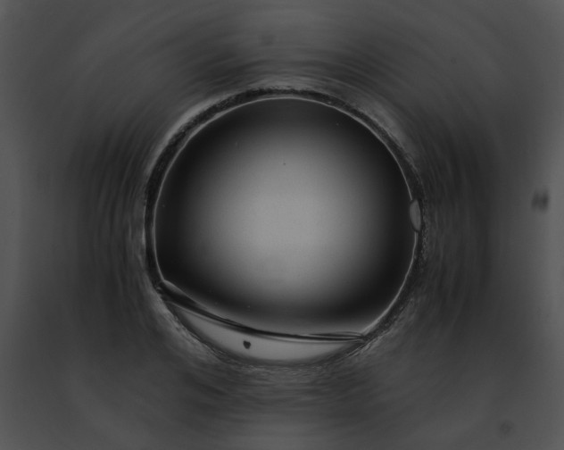 X0000091480984200708301911