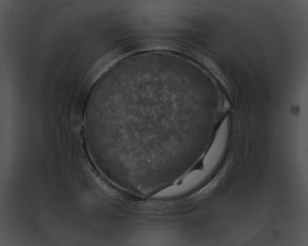 X0000091480985200708301911