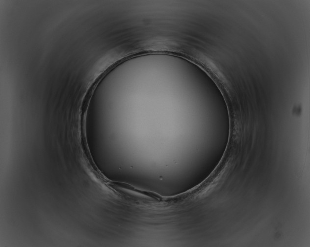 X0000091480986200708301911