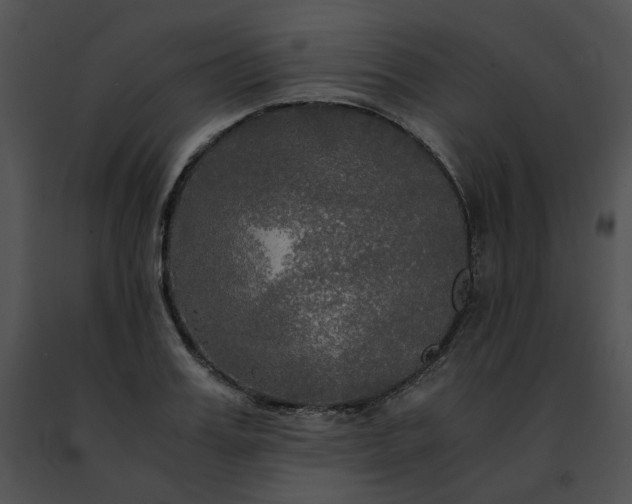 X0000091480987200708301911