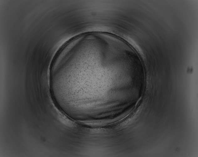 X0000091480988200708301911