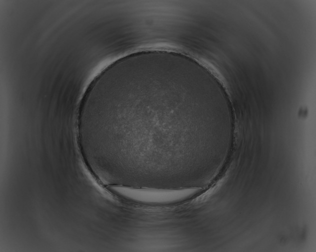 X0000091480989200708301911