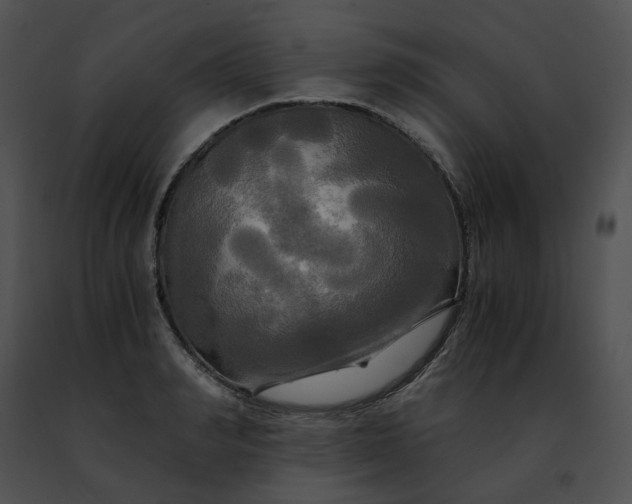 X0000091480990200708301911