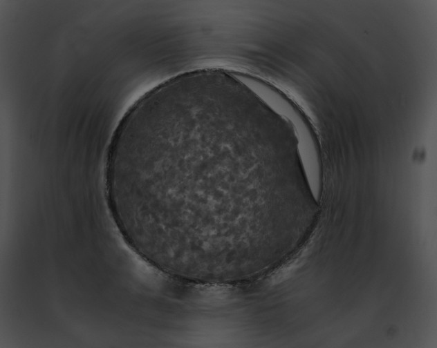 X0000091480991200708301911