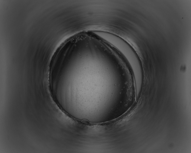X0000091480992200708301911