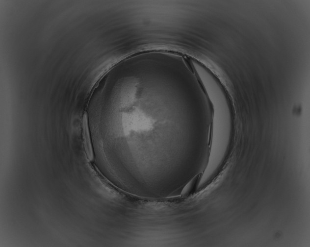 X0000091480993200708301911