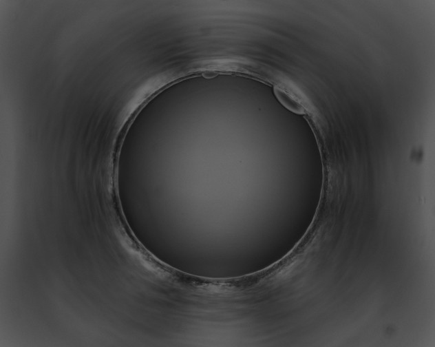 X0000091480994200708301911