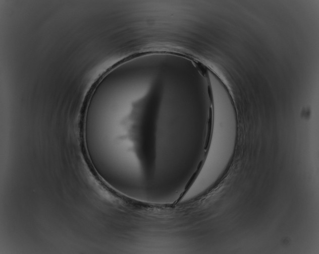 X0000091480995200708301911