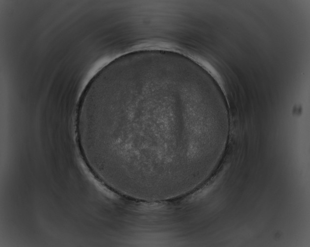 X0000091480997200708301911