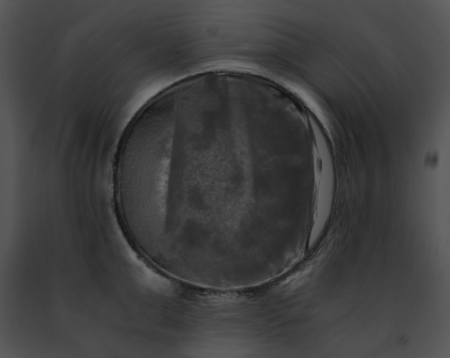 X0000091480999200708301911