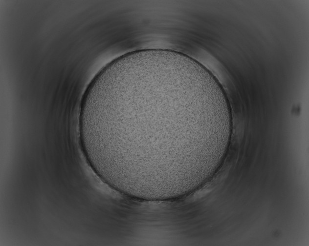 X0000091481000200708301911