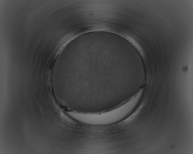 X0000091481001200708301911