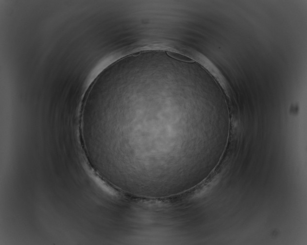 X0000091481002200708301911