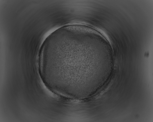 X0000091481003200708301911