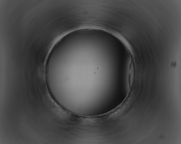 X0000091481004200708301911