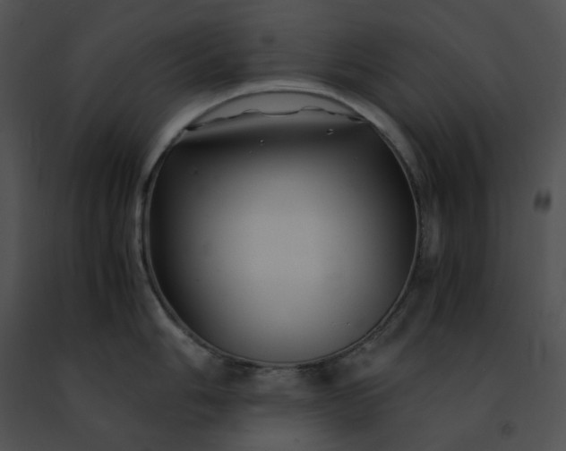 X0000091481006200708301911