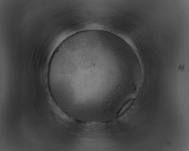 X0000091481008200708301911