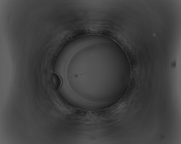 X0000091481009200708301910