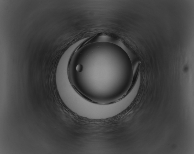 X0000091481010200708301910