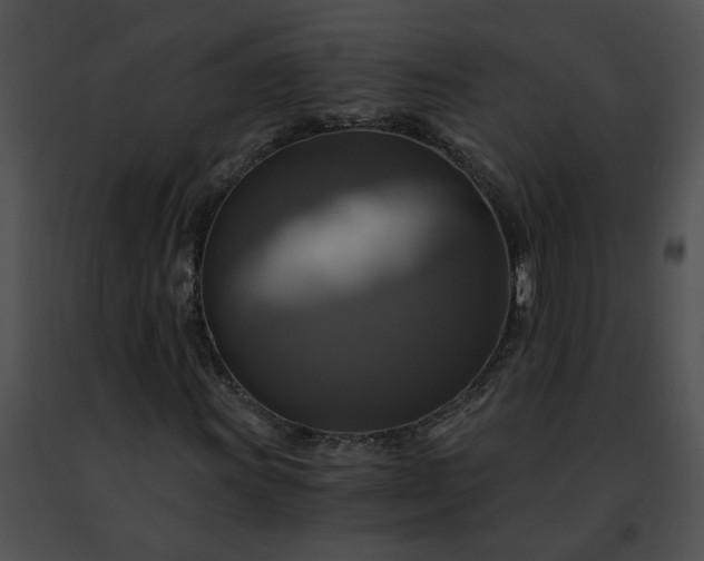 X0000091481011200708301910