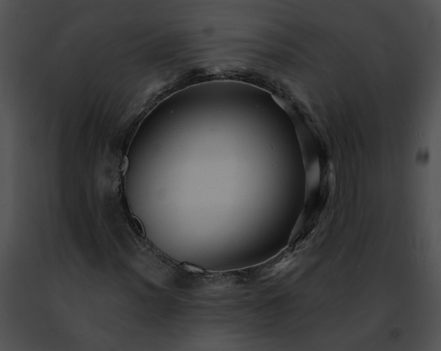 X0000091481012200708301910