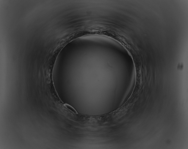 X0000091481013200708301910