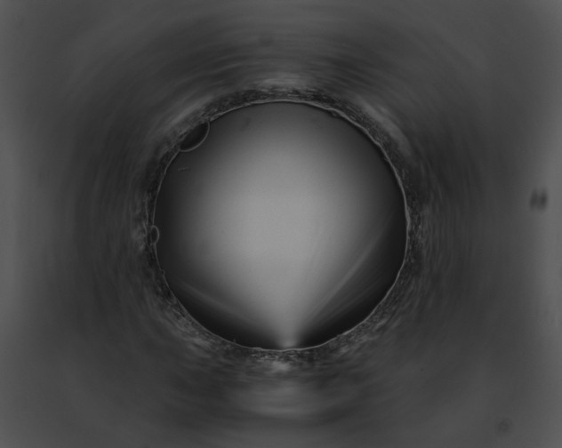 X0000091481015200708301910