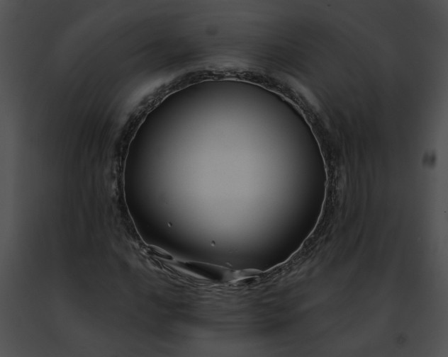 X0000091481016200708301910