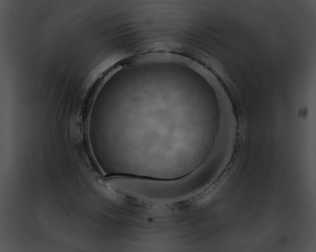 X0000091481018200708301910