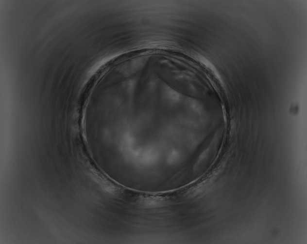 X0000091481019200708301910