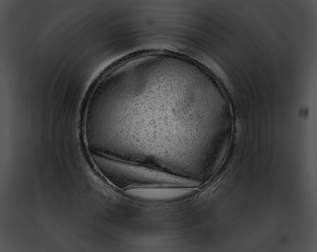 X0000091481020200708301910