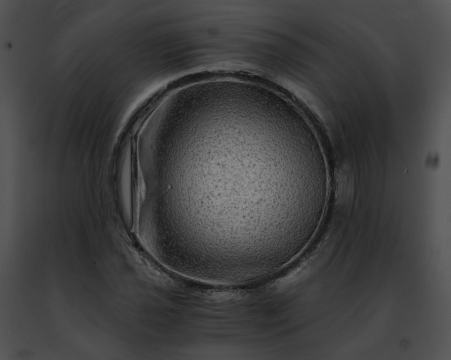 X0000091481021200708301910