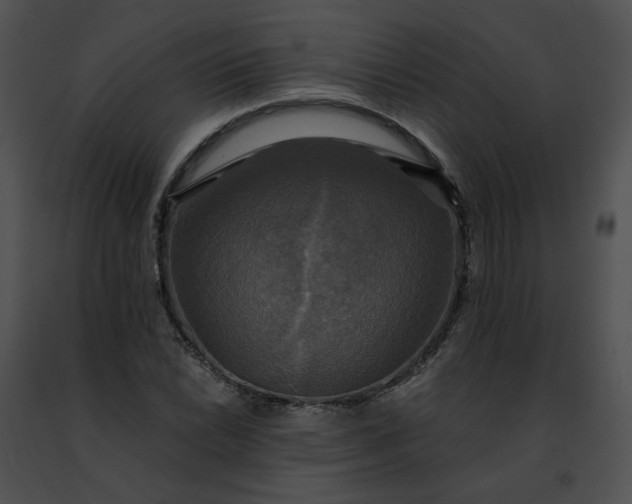 X0000091481022200708301910