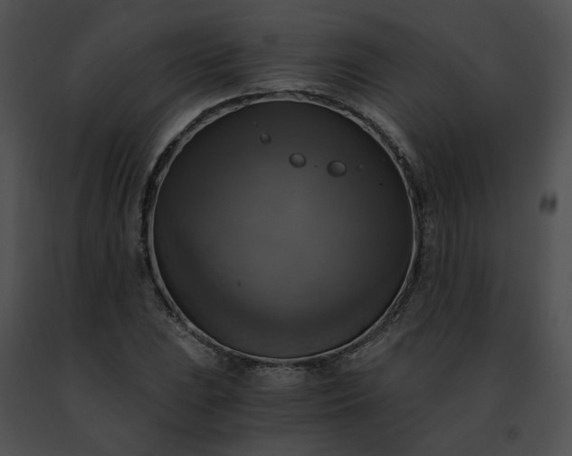 X0000091481023200708301910