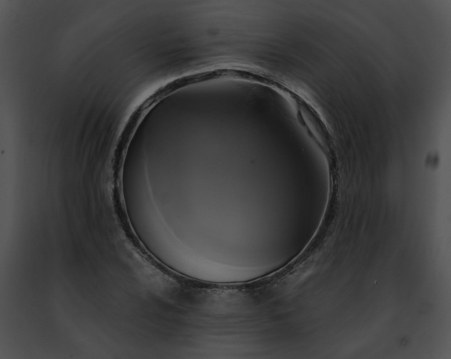 X0000091481024200708301910