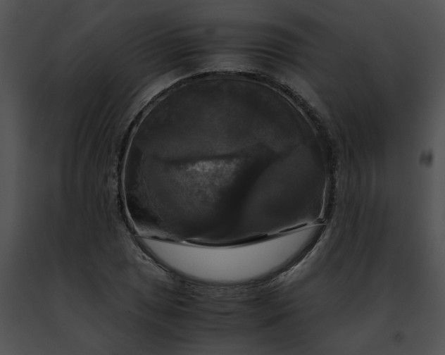 X0000091481025200708301910