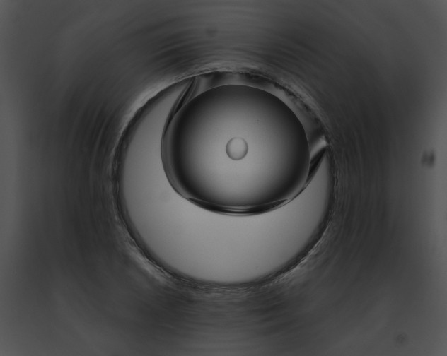 X0000091481026200708301910