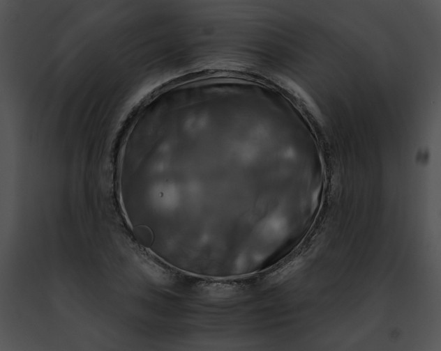 X0000091481027200708301910