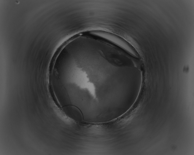 X0000091481028200708301910