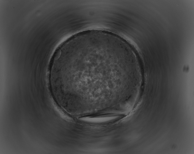 X0000091481029200708301910